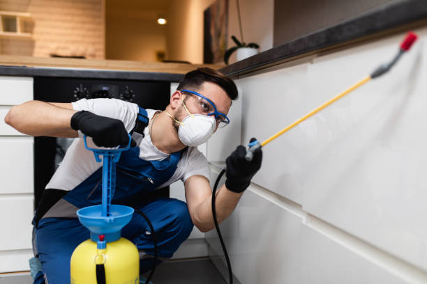 Best Exterminator Services  in Ogden, UT