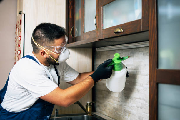 Best Pest Control Near Me  in Ogden, UT