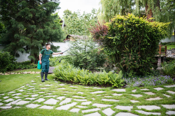 Best Affordable Pest Control Services  in Ogden, UT