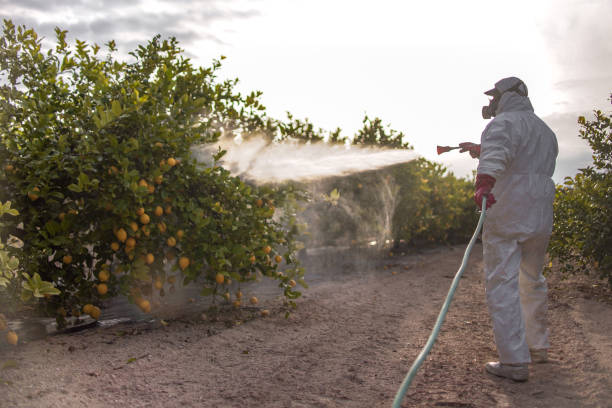 Best Pest Removal Services  in Ogden, UT