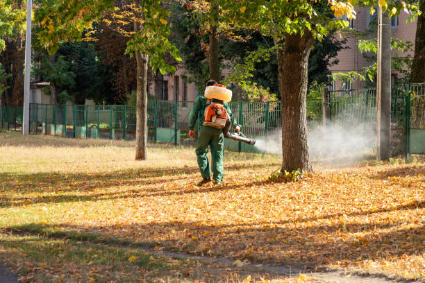 Best Pest Prevention Services  in Ogden, UT