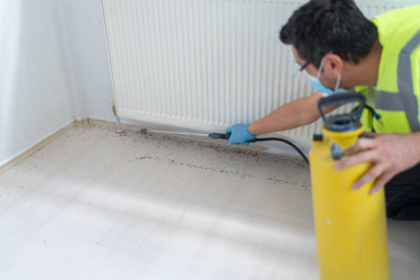 Best Wasp Removal Services  in Ogden, UT