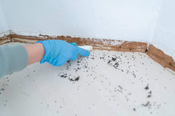 Best Commercial Pest Control Services  in Ogden, UT