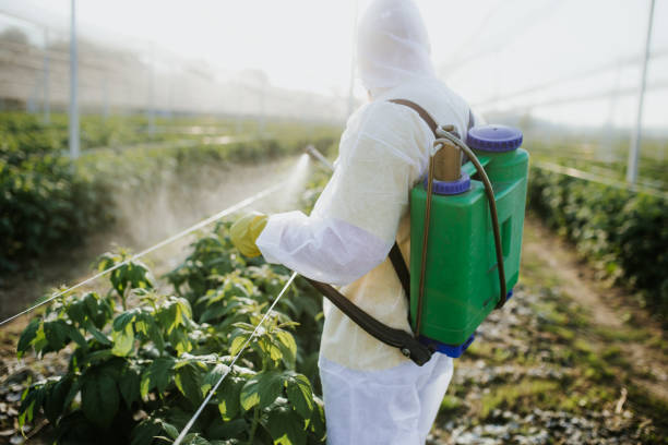 Best Best Pest Control Companies  in Ogden, UT